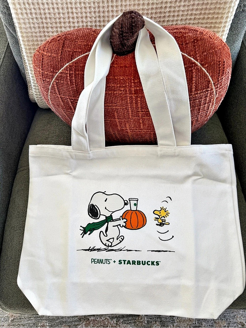 Starbucks x Peanuts Snoopy & Woodstock Pumpkin Canvas Tote Bag – NWT100